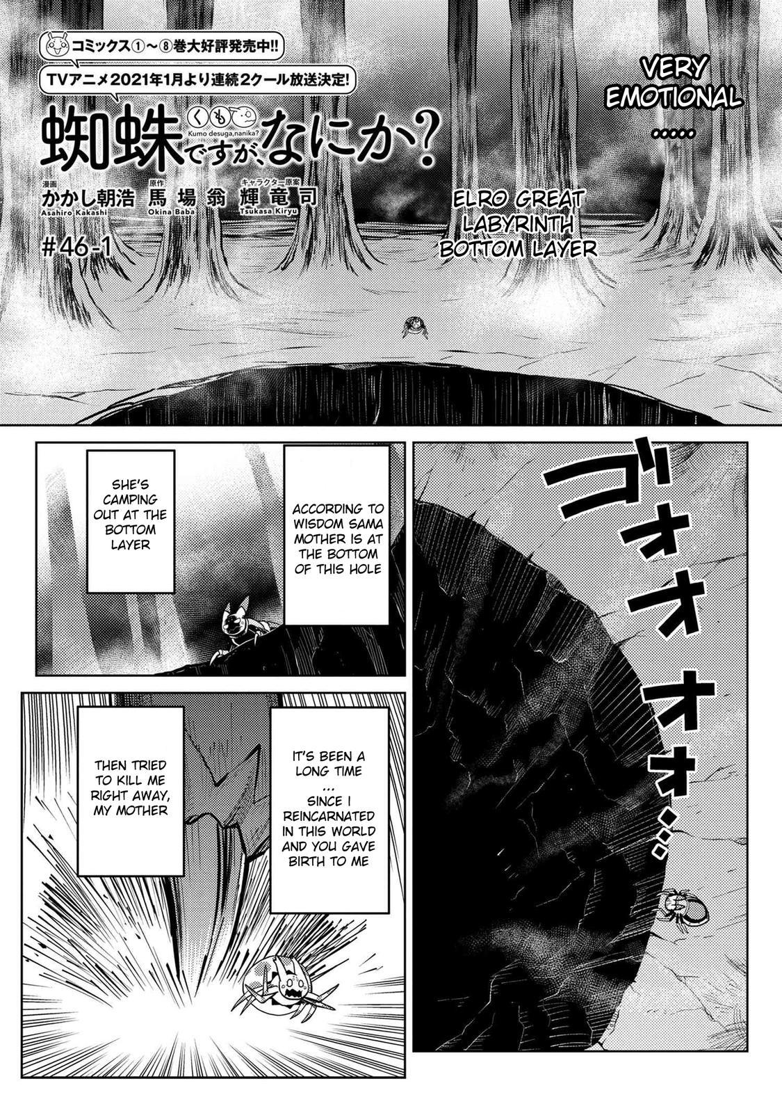 Kumo desu ga, nani ka? Chapter 49.5 1